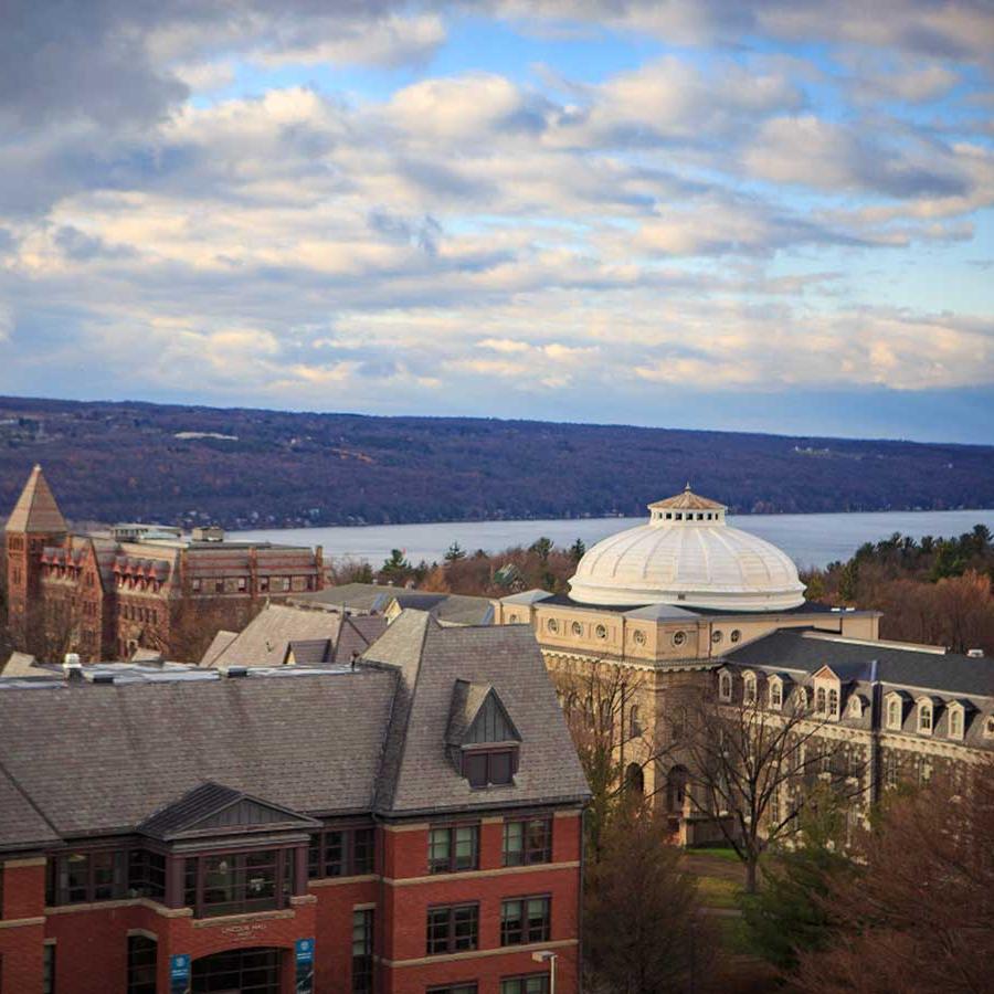 		Campus buildings, cloudy sky, lake
	