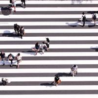 		Seen from directly above, 20 people in a striped cross walk
	