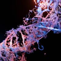		DNA strand
	