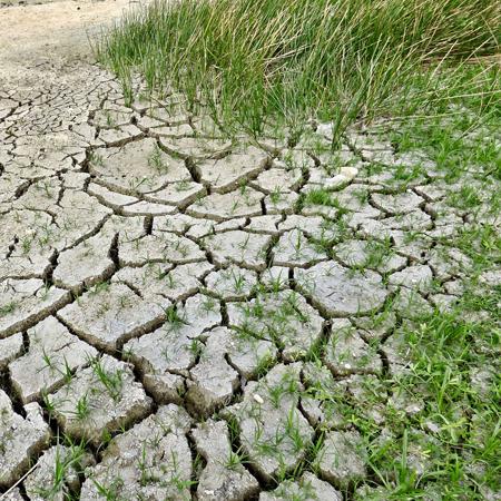 		 Dried up and cracking river bed
	