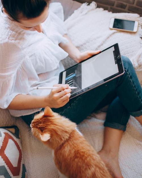 		Person on a couch, working on a tablet, with cat
	
