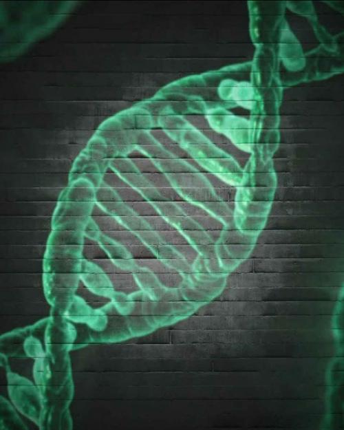 		DNA helix
	