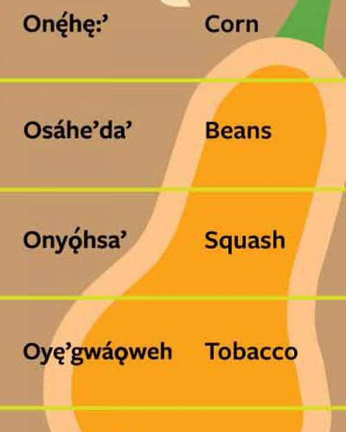 illustration of squash with words