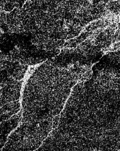 		A black and white aerial image of Titan&#039;s river system.
	