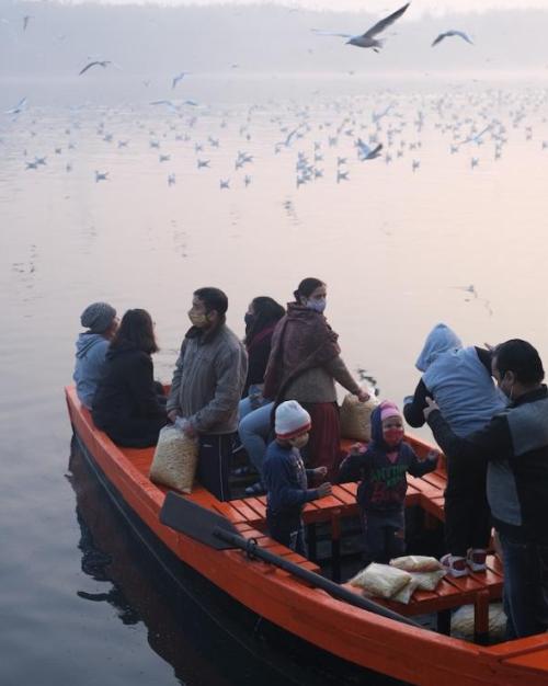 		Sevearl people, including children, in a row boat with belongings. Birds fly overhead
	