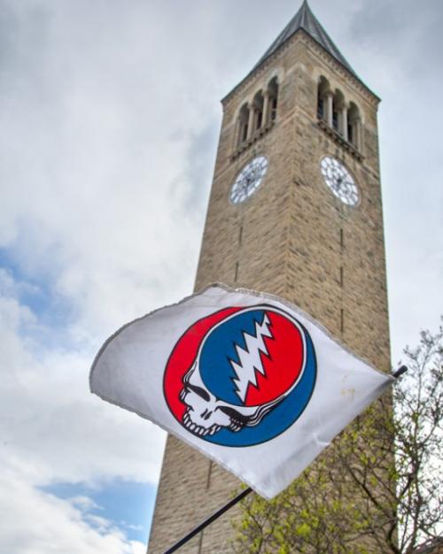 		White flag showing a red, white and blue skull graphic in front of a campus clock tower
	