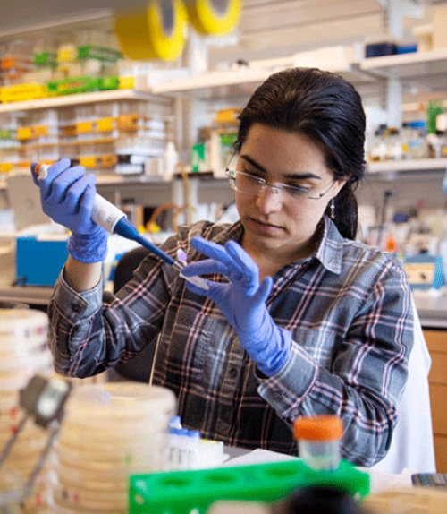 		 A researcher fills tubes in a lab
	