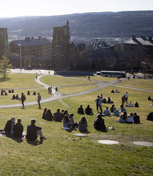 		 Students sit on a grass slope
	