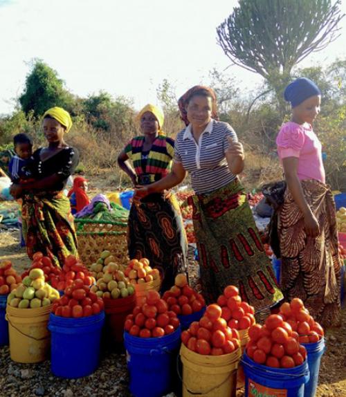 		 Roadside vendors sell tomatoes in Mikumi, Tanzania
	
