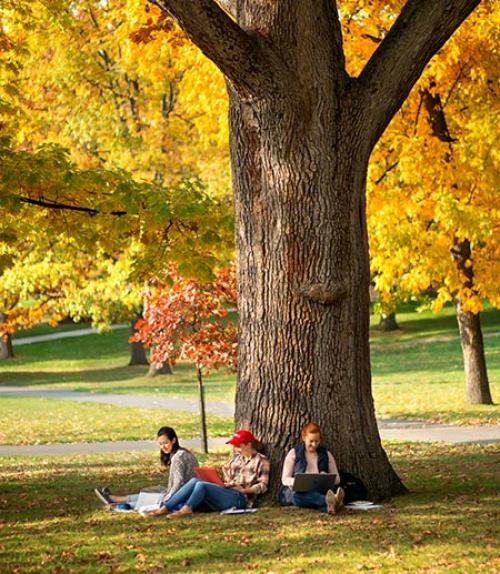 		 Arts Quad in the fall
	