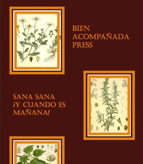 		 The cover of Bien Acompanada Press first issue
	