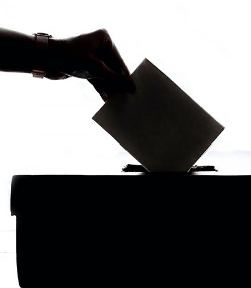  Hand placing ballot in box