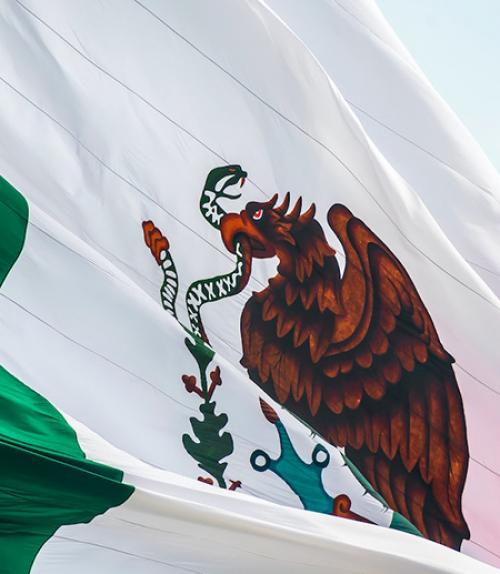 		 Close-up of Mexican flag
	