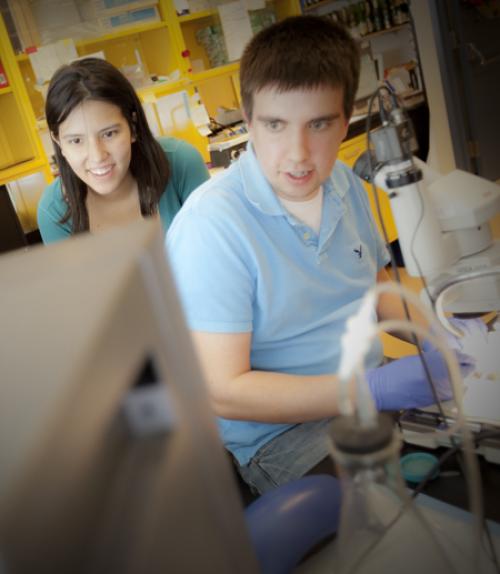 		 Students working in a lab
	
