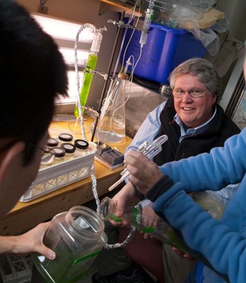  Nelson Hairston sits watching two students use lab equipment in an experiment in his lab.