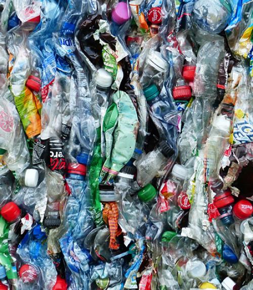 		 plastic bottles
	