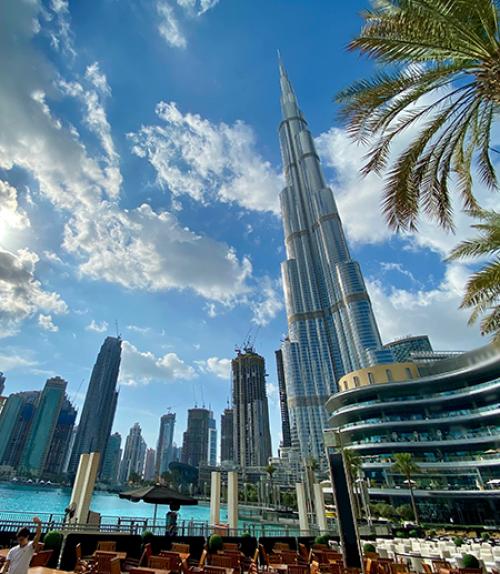  Silver skycrapers and a palm tree against a blue sky