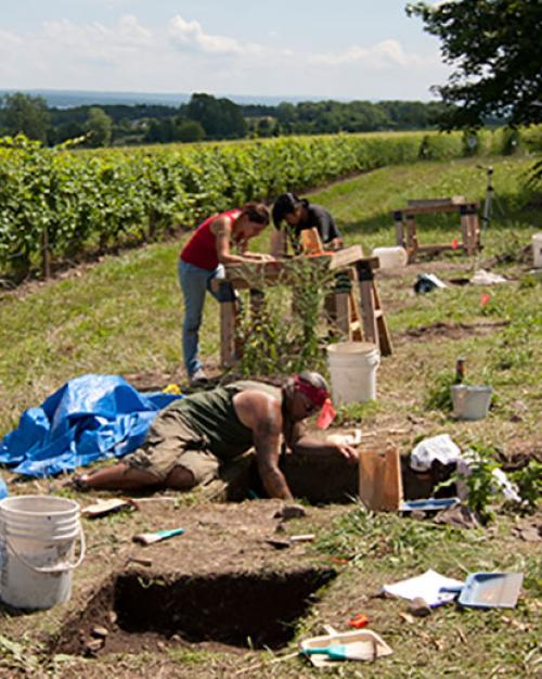 		 People excavating archaeological site with fields in the background
	