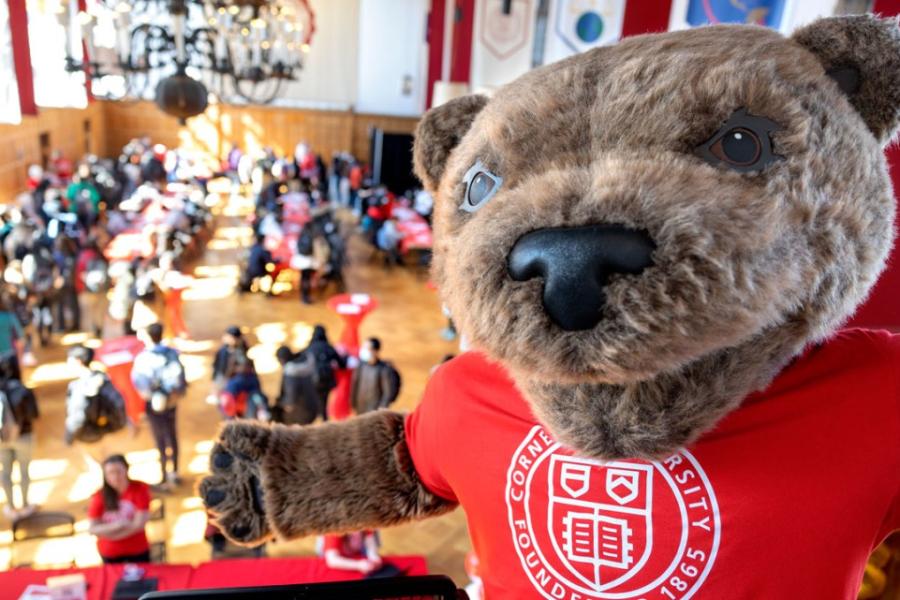 Bear mascot in foreground; crowded room below