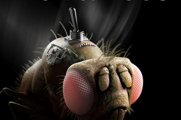 Cover of Science advances showing fruit fly whimsically drawn with an on-off switch on its back