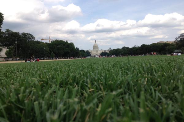 A grassy field in the foreground; US Capitol dome in the distance