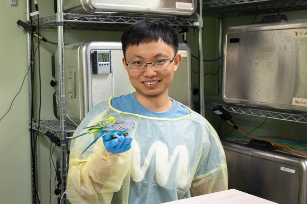 Person wearing PPE holding two small, colorful birds