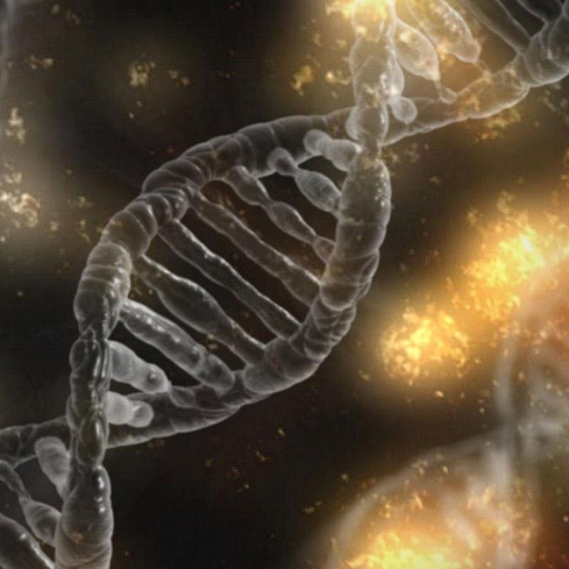 Illustration of DNA strands