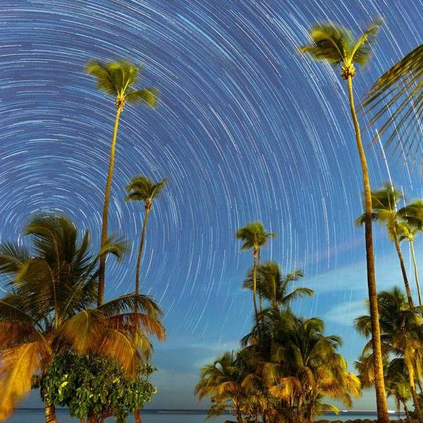 		Sky full of stars, time lapse, over palm trees
	