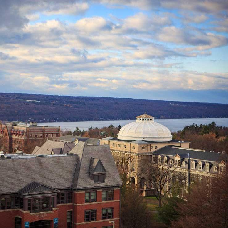 		Campus buildings, cloudy sky, lake
	