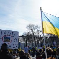 		People protest with signs outside a metal fence, holding blue and yellow flags
	
