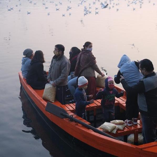 Sevearl people, including children, in a row boat with belongings. Birds fly overhead