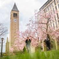Campus buildings and pink blossoms on trees