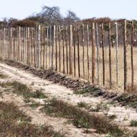 		Fence made of wooden posts in a dry place
	