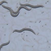 		dark gray worms with pointed ends surrounded by dots of other microscopic things
	