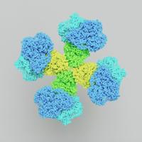blue, green and yellow structure representing a molecule