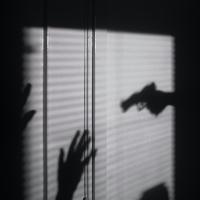 		Silhouettes on a wall show a gun aimed at two hands held up in surrender; a scene of nighttime crime
	