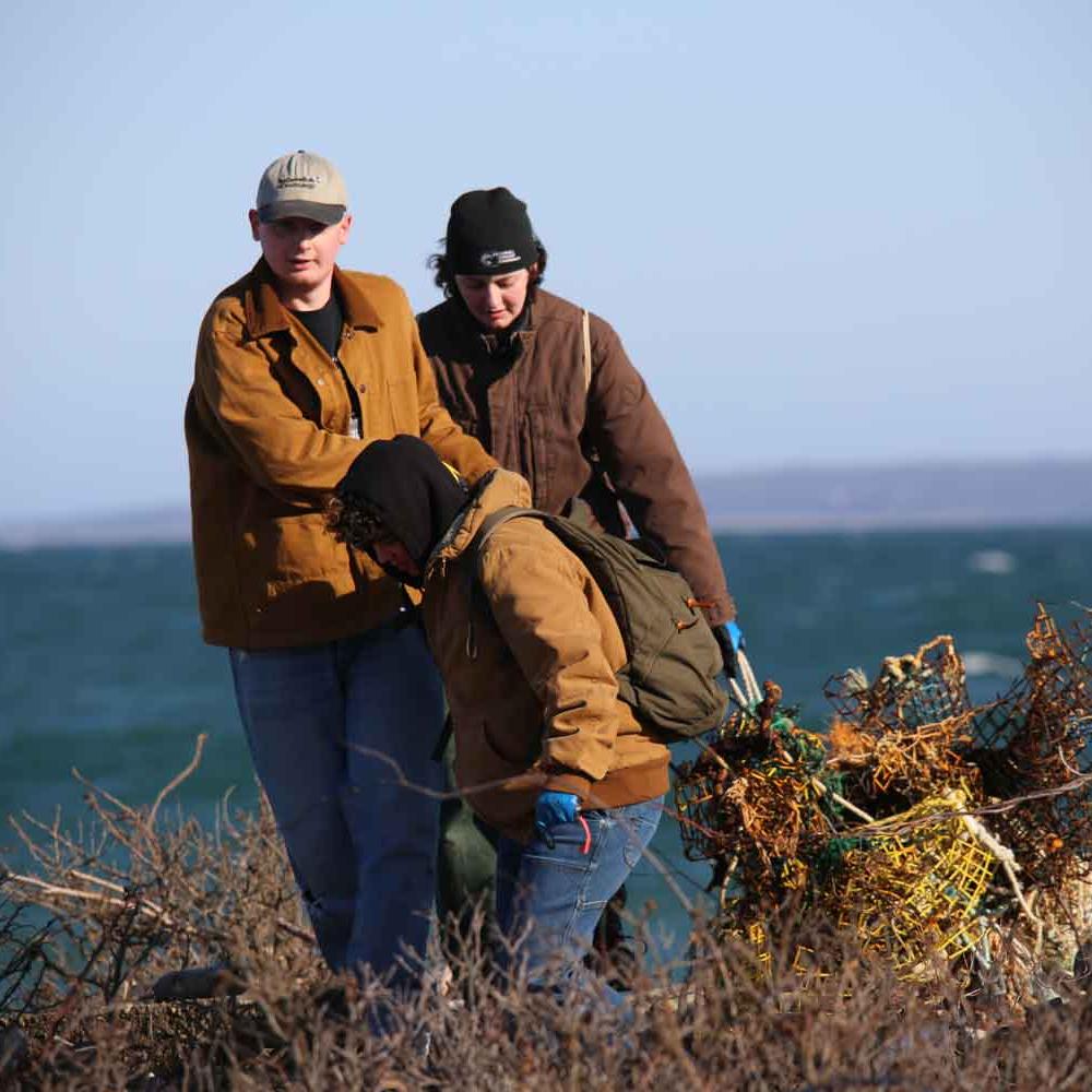 two people dragging lobster traps