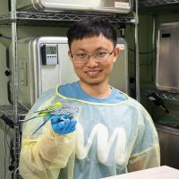 Person wearing PPE holding two small, colorful birds