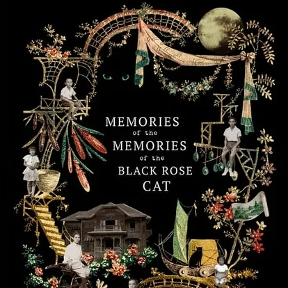 Book cover art "Memories of the Memories of the Black Rose Cat"