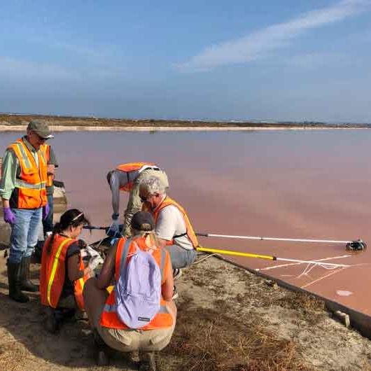 		Researchers in striped orange hazard vests kneel next to a cloudy lake holding long poles in the water.
	