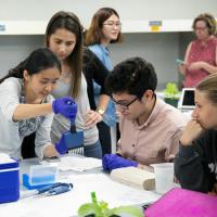  Cornell undergraduate students diagnosing wine grape diseases in a plant pathology laboratory in Chile.