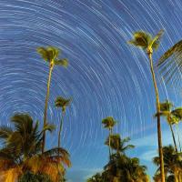 Sky full of stars, time lapse, over palm trees