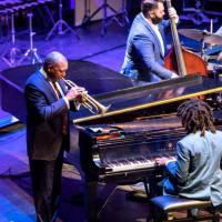 band members on trumpet, bass, drums and piano