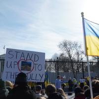 People protest with signs outside a metal fence, holding blue and yellow flags