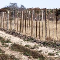 Fence made of wooden posts in a dry place