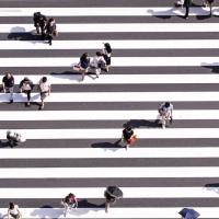 Seen from directly above, 20 people in a striped cross walk