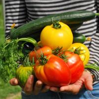 someone holding vegetables