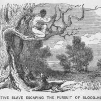 Drawing from an 18th century newspaper of a person in a tree