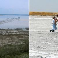 Two images of boggy land; people digging in it