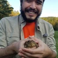 person holding frog